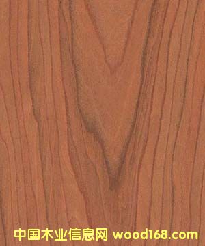 �c(di��n)���鿴�Ƽ�ľ�Ŵ�DƬ