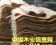 ��Ƥ��Ԕ��(x��)��B