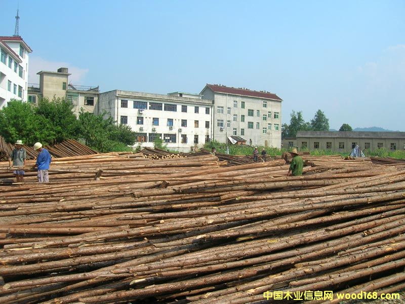 �c(di��n)���鿴ɼľ�Ŵ�DƬ