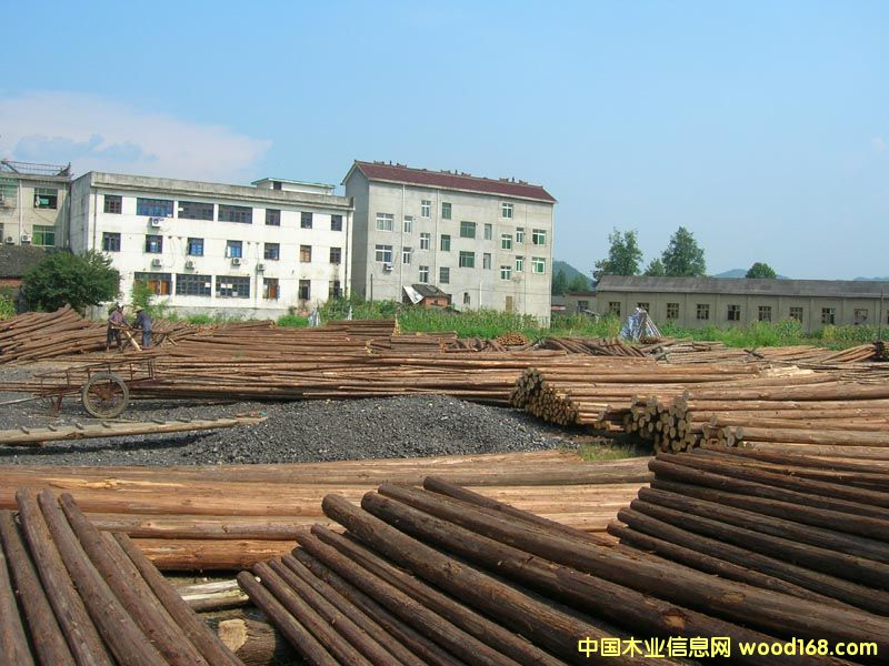 �c(di��n)���鿴ɼľ�Ŵ�DƬ