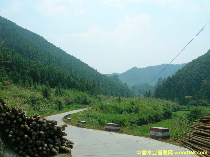 �c(di��n)���鿴ɼľ�Ŵ�DƬ