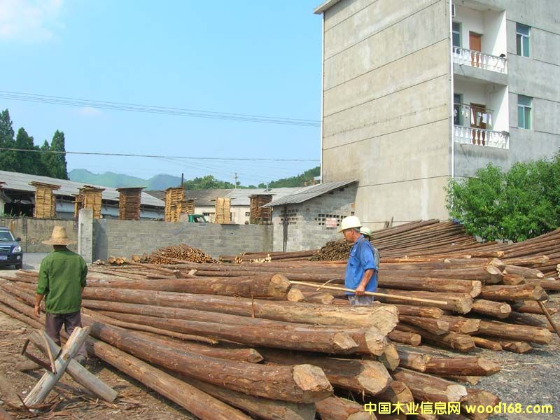 �c(di��n)���鿴ɼľ�Ŵ�DƬ