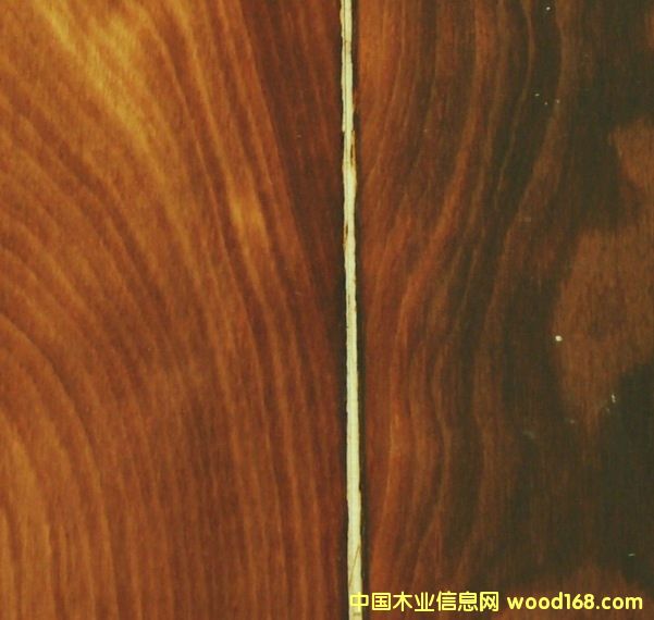 ̼����̴ɫ��ľ��Ԕ����B