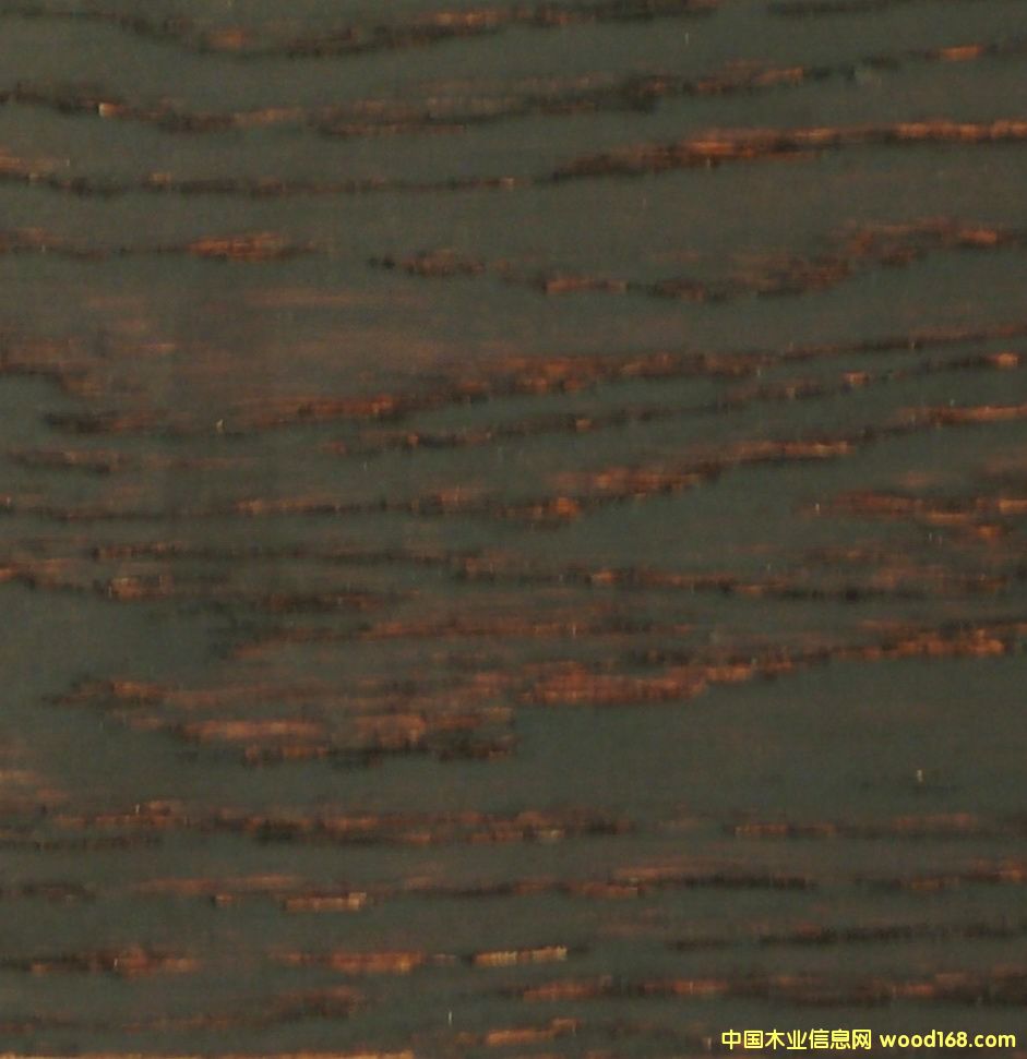 ȫ����ľ��Ԕ����B