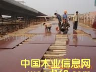 ����ģ���Ԕ��(x��)��B