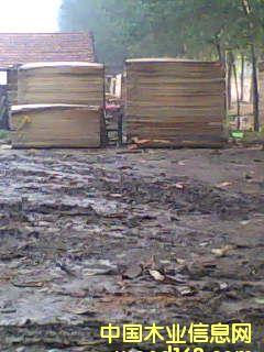 �c���鿴���̷Ŵ�DƬ