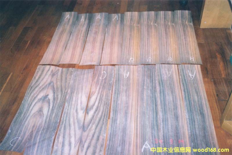 �c(di��n)���鿴ӡ��õ��ľ�Ŵ�DƬ