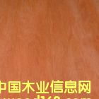 �c���鿴���ǹ��Ŵ�DƬ