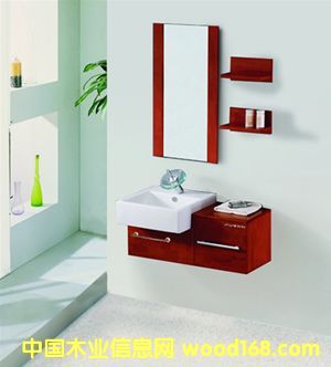 �c���鿴SM1020�Ŵ�DƬ