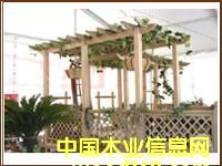 �c���鿴���ܷŴ�DƬ