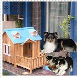 �c(di��n)���鿴�����ݷŴ�DƬ