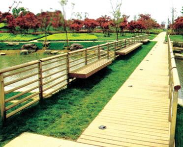 �c(di��n)���鿴ľ�ڷŴ�DƬ