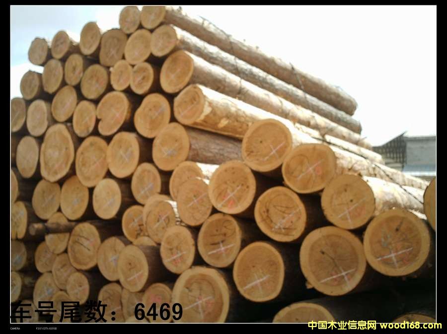 �����ɵ�Ԕ��(x��)��B