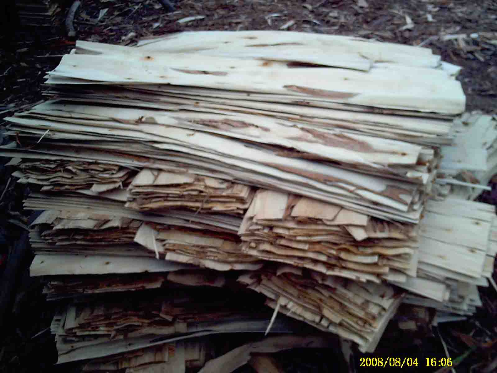 �������Ԕ��(x��)��B