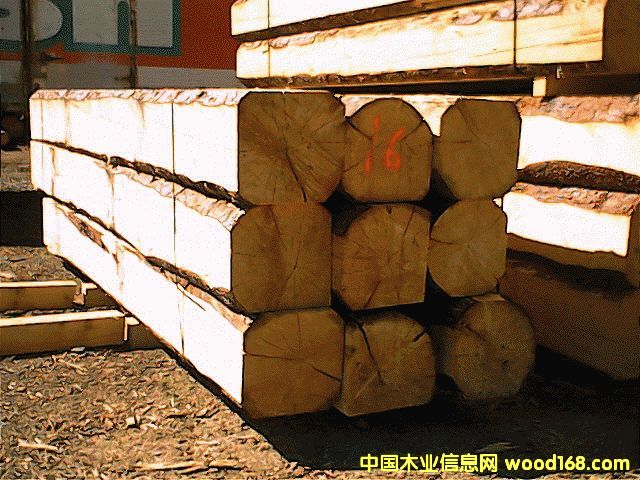 �c���鿴���ô�SPF�Ŵ�DƬ