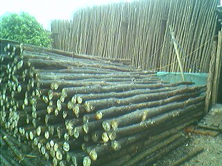 �c(di��n)���鿴�ɘ��Ŵ�DƬ