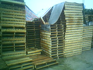 �c(di��n)���鿴ľ�бP�Ŵ�DƬ