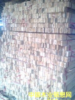 �c(di��n)���鿴ľ���Ŵ�DƬ