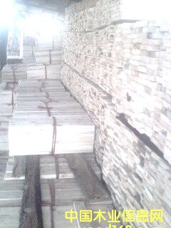 �c(di��n)���鿴ľ���Ŵ�DƬ