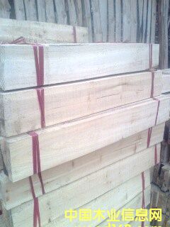 �c(di��n)���鿴ľ���Ŵ�DƬ