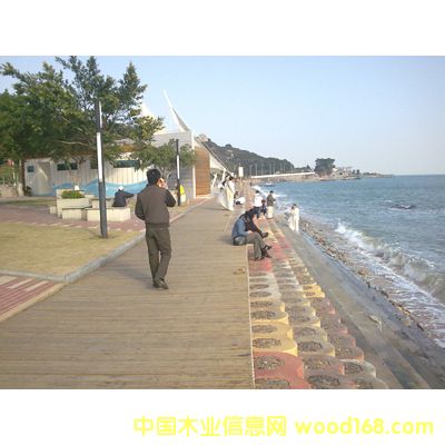 ����ľ��䁵�Ԕ����B