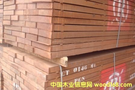 �c���鿴ɳ�����Ŵ�DƬ