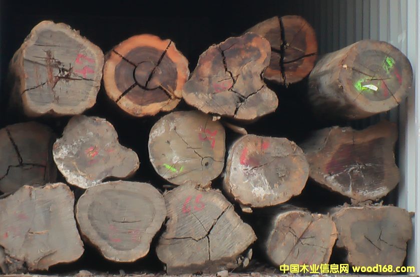 ������֦�����}���Ԕ��(x��)��B