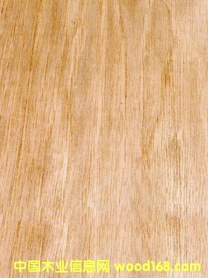 �c(di��n)���鿴�ľ�Ŵ�DƬ