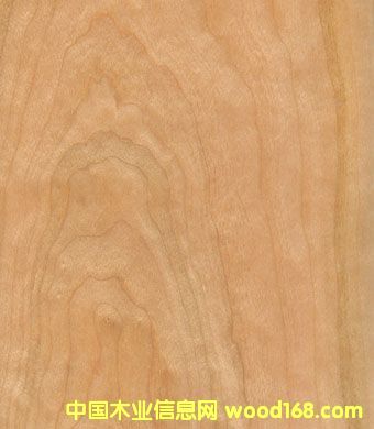 �c(di��n)���鿴���ҷŴ�DƬ