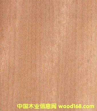 �c(di��n)���鿴�t���ҷŴ�DƬ