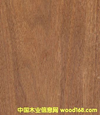 �c(di��n)���鿴ɳ�����Ŵ�DƬ