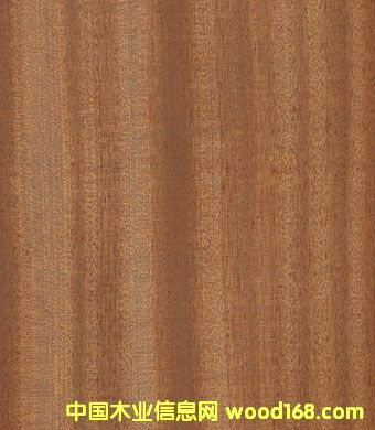 �c(di��n)���鿴ɳ�����Ŵ�DƬ