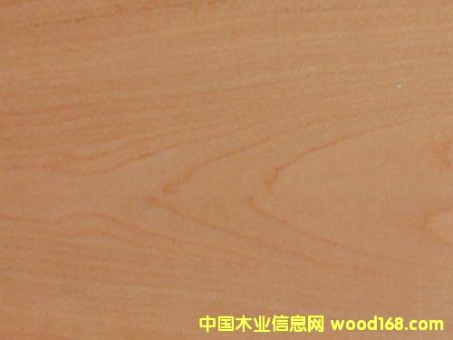 �c(di��n)���鿴���Ϙ�Ŵ�DƬ