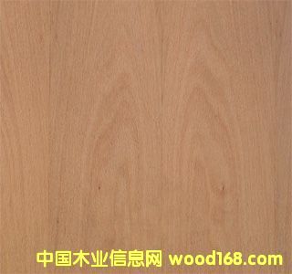 �c(di��n)���鿴�t��Ŵ�DƬ