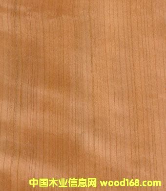 �c(di��n)���鿴���ҷŴ�DƬ