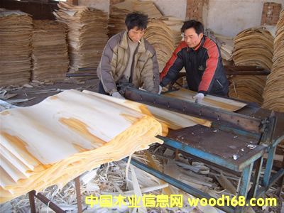 �c(di��n)���鿴��Ƥ�Ŵ�DƬ