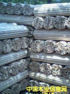 �c(di��n)���鿴ľ�S�Ŵ�DƬ