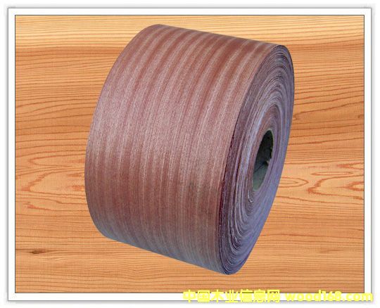 ɳ����ľƤ��߅�l��Ԕ��(x��)��B