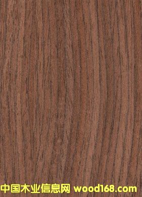 �ں���ľƤ��Ԕ��(x��)��B