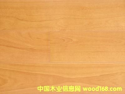 ��(sh��)ľ��(f��)�ϵذ�--�ט��Ԕ��(x��)��B