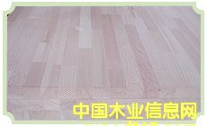 �c(di��n)���鿴���ɲ�ƴ���zϵ�зŴ�DƬ