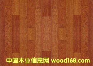 �c���鿴���ɲķŴ�DƬ