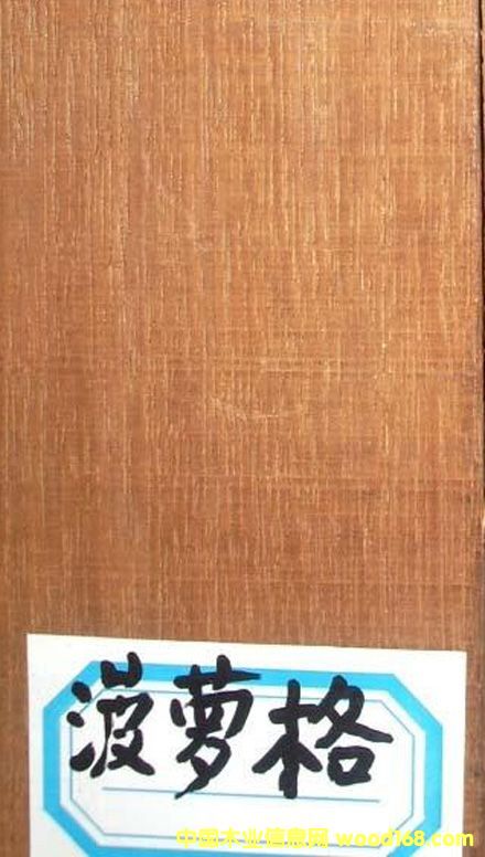 �c���鿴���}��Ŵ�DƬ