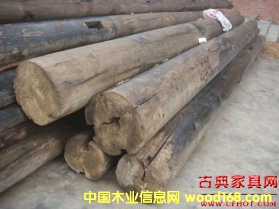 �c(di��n)���鿴�ϼtľ�Ŵ�DƬ