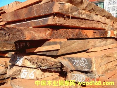 �c(di��n)���鿴�Fľ�Ŵ�DƬ