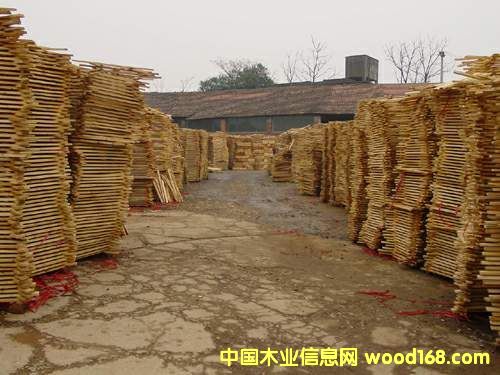 ���ɲ�-ë��ԭ�ϵ�Ԕ��(x��)��B