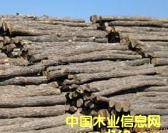 ԭľ�ψ�(ch��ng)��Ԕ��(x��)��B