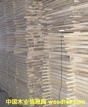 ����������Ԕ��(x��)��B