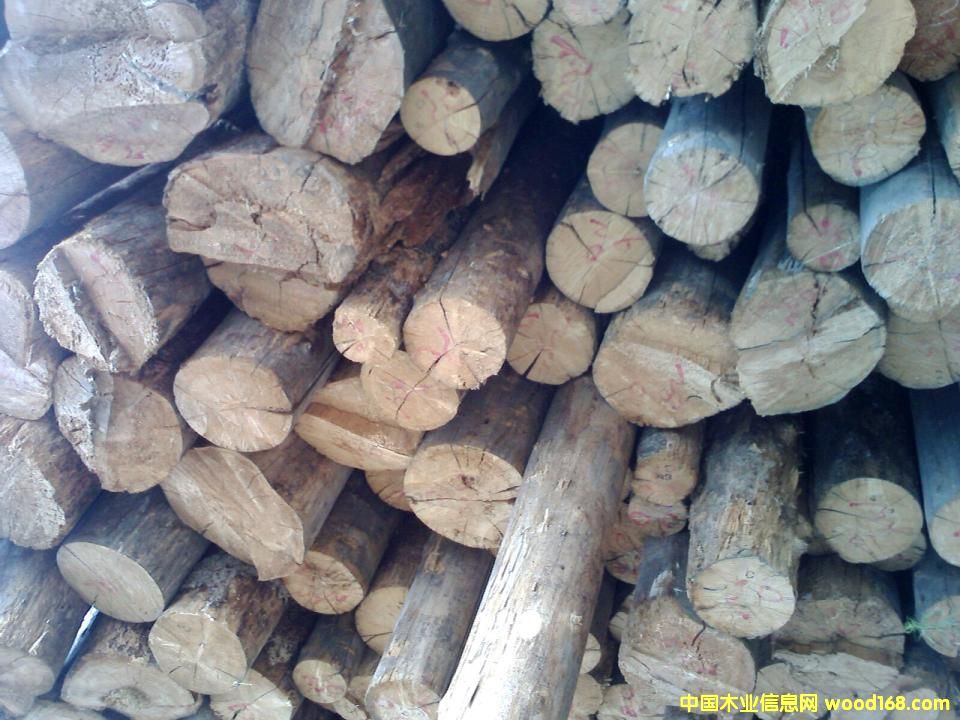 �c(di��n)���鿴�����ϸ�ԭľ��Ԕ��(x��)�Y��