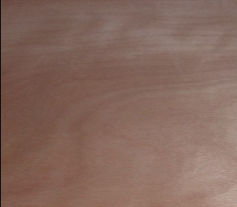 �c(di��n)���鿴�z�ϰ�Ŵ�DƬ